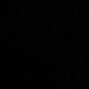 Meet your Posher, Reese